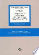 libro Conceptos Basicos De Derecho Procesal Civil / Basic Concepts Of Civil Procedural Law