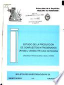 libro Estudio De La Produccion De Compuestos Nitrogenados (amidas Y Ureidos) En Lotus Corniculatus